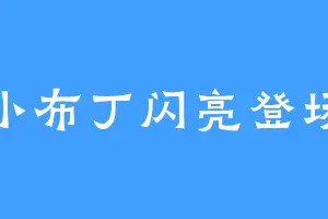 小布丁闪亮登场