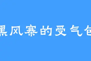 黑风寨的受气包
