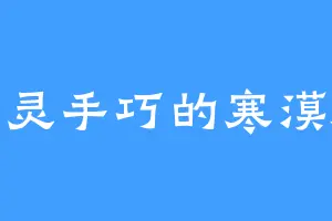 心灵手巧的寒漠海