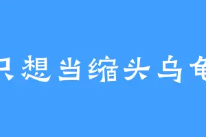 只想当缩头乌龟