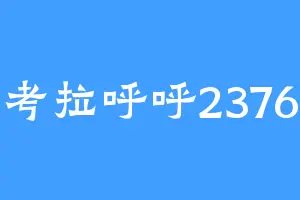 考拉呼呼2376
