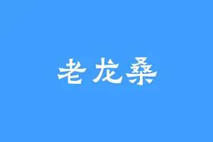 老龙桑