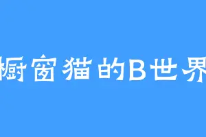橱窗猫的B世界