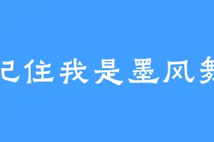 记住我是墨风舞