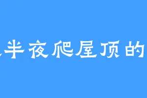 喜欢半夜爬屋顶的老登