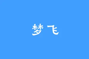 梦飞